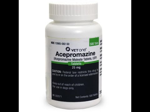 Video: Acepromazine. Ինչու ես մեծ երկրպագու չեմ, երբ խոսքը վերաբերում է հանգստացմանը `« Ace »- ի միջոցով