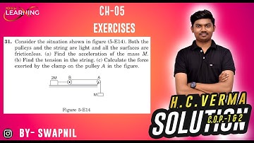 Consider the situation shown in figure (5-E14). Both the  pulleys and the string are light and all t