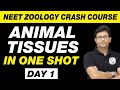 Animal Tissues in 1 Shot | Structural Organisation in Animals | UMMEED | NEET Biology Crash Course