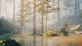Finding Strength in Psalm 46 2025 02 22