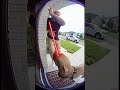 #shorts #youtubeshorts #funnyclips #clips #funny #jakepaul