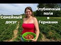 Клубничные поля в Германии / Собираем клубнику / Как провести время с семьей в Германии/VLOG