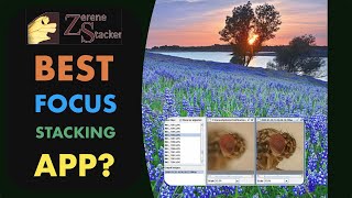 هل تطبيق Zerene Stacker أفضل من Affinity Photo لدمج صور الماكرو (Focus Stacking) لهواتف iPhone؟ screenshot 5