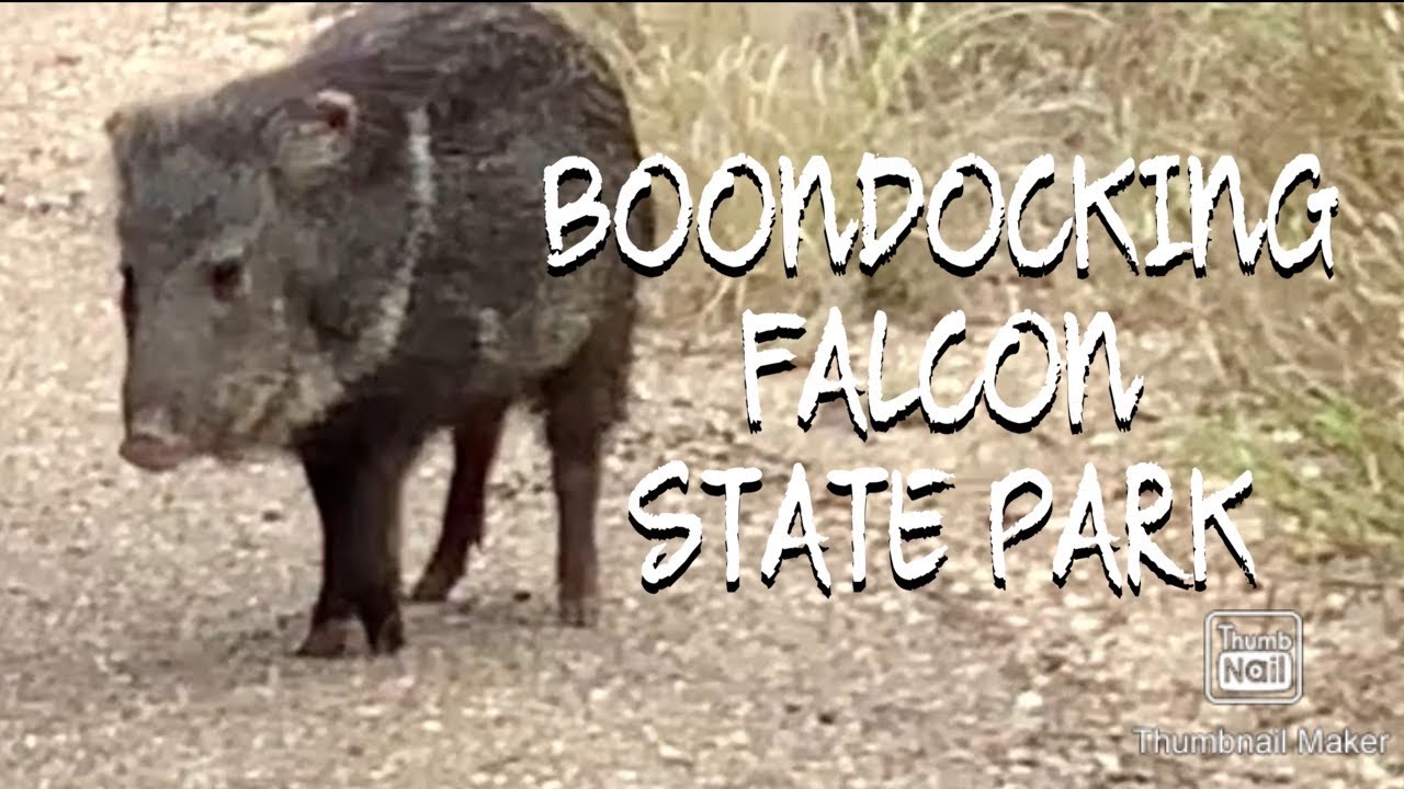 Boondocking Falcon State Park