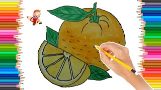 CÁCH VẼ VÀ TÔ MÀU QUẢ CAM - HOW TO DRAW AN ORANGE - LEARN DRAWING AND COLORING