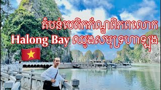 Halong Bay World Heritage Site Day Cruise Trip From Hanoi Vietnam | Bank Traveler