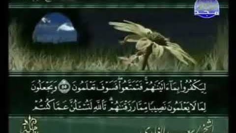 سورة النحل من الآية 55 الى الآية  72