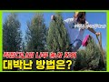 직장인 주말 농장 시작부터 판로까지 알려 주신 다고요?!