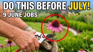 Do These 9 Things to Your Perennials Before July (Or Regret It All Summer)