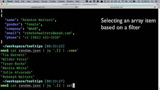 Tooltip 6: Filtering JSON arrays with jq