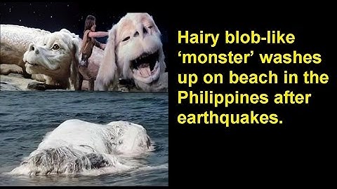 Hairy blob-like ‘monster’ washes up on beach in the Philippines.