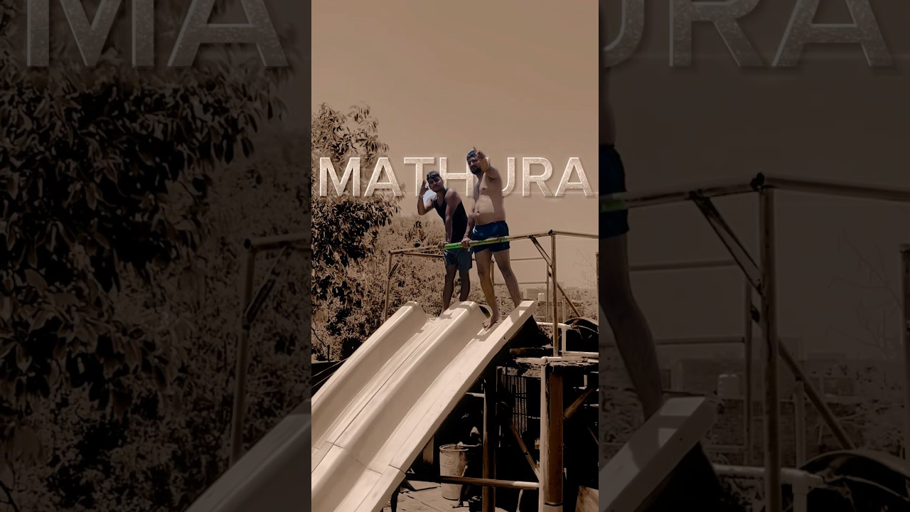 Account song YoYo Honey