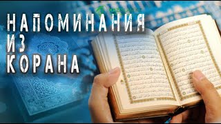 Напоминания из Корана. К чему призывает нас Всевышний?