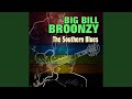 Miniature de la vidéo de la chanson The Southern Blues