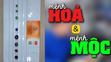 KHÁM PHÁ Đá Quý Mệnh HỎA và Đá Quý Mệnh MỘC | Tuyệt Phẩm Đá Phong Thủy Tại TahiGems!