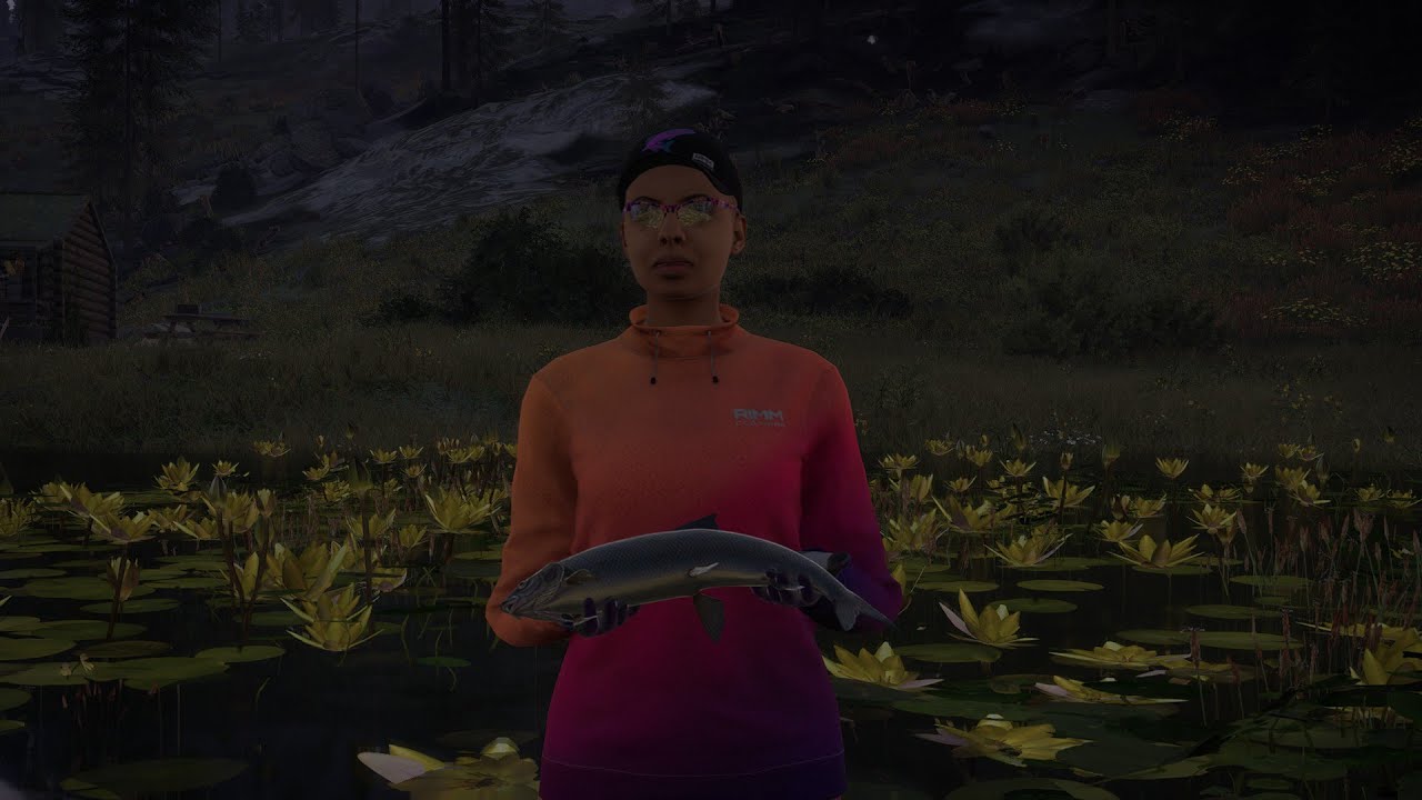 Diamond Mountain Whitefish Silver Strand Meadows Photo Challenge 3 diamond-mountain-whitefish-silver-strand-meadows-photo-challenge-3