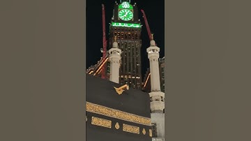 الشيخ ياسر الدوسري| #المصحف #قرآن #الرحمن #تلاوات_الحَرَم #ياسر_الدوسري #الله #راحة_نفسية