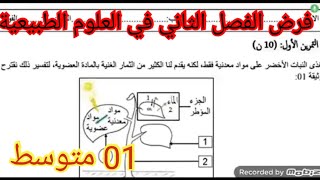 فرض الفصل الثاني في العلوم الطبيعية السنة الأولى متوسط 2026