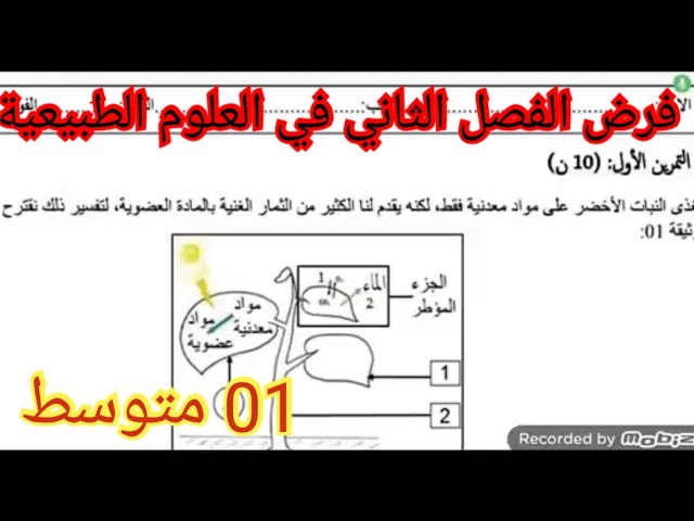 فرض الفصل الثاني في العلوم الطبيعية السنة الأولى متوسط 2026