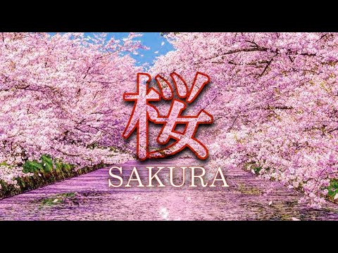 🌸 【SAKURA 】🌸 Cerezos en JAPÓN 🎌 Esperanza e ilusión 🔸 桜 ～希望の空へ～