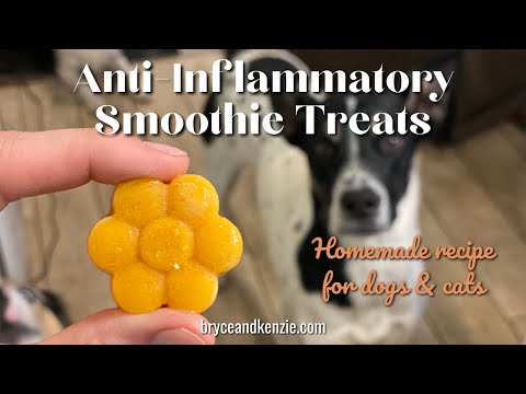 Anti-Inflammatory Smoothie Treats