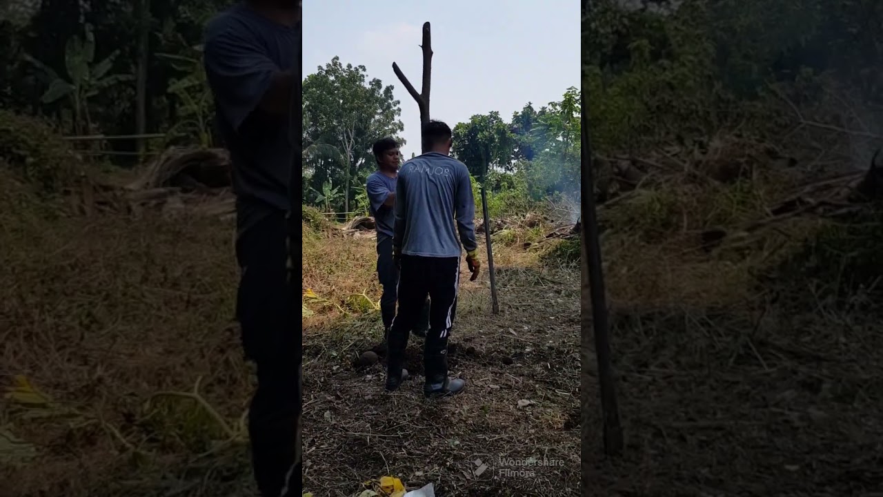 Built a  temporary shelter in the forest. 