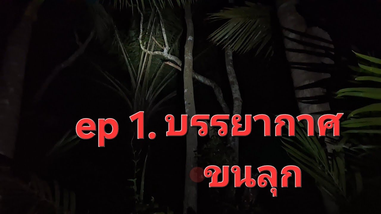 บรรยากาศ ขนลุก ep1.ตอนแรก ผมได้เดินเข้าไปในป่าแห่งนี้ได้ยินเสีบงแปลกๆน่ากลัวชวนขนลุก