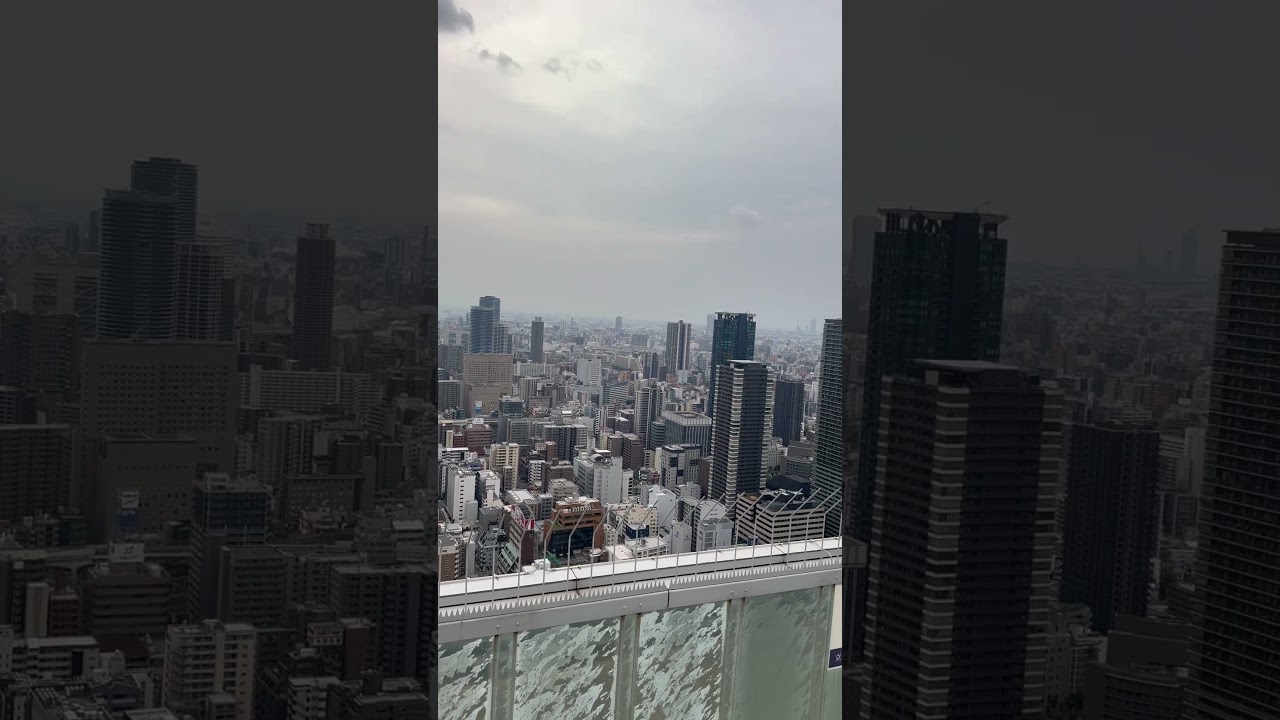 Osaka View 