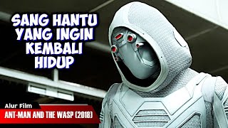 SANG HANTU YANG INGIN KEMBALI HIDUP | ALUR CERITA FILM ANT-MAN AND THE WASP (2018)