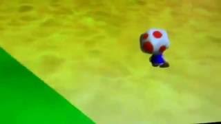 SM64 Bloopers:The Retarded Toads