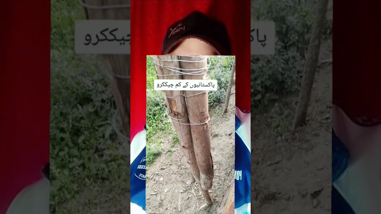 viral reaction shorts 