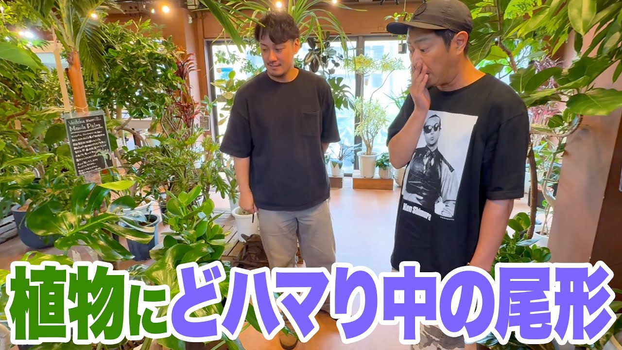 パンサー尾形が最近どハマり中の観葉植物を買いに行く！新居に合う植物が欲しい！