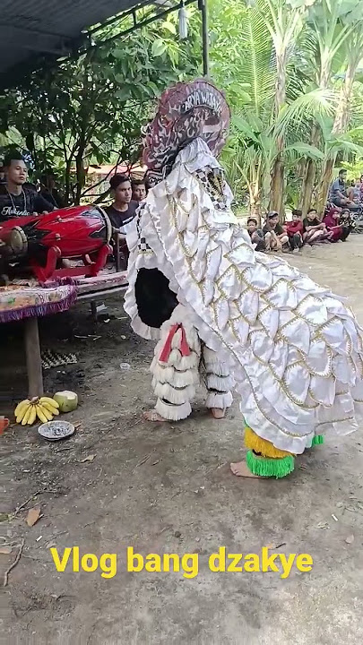 Barongan rasa barongsai #shorts #kudalumping #kudakepanghits #ebeg #barongan
