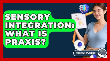 Sensory Integration: What Is Praxis? - Brain Development Hub