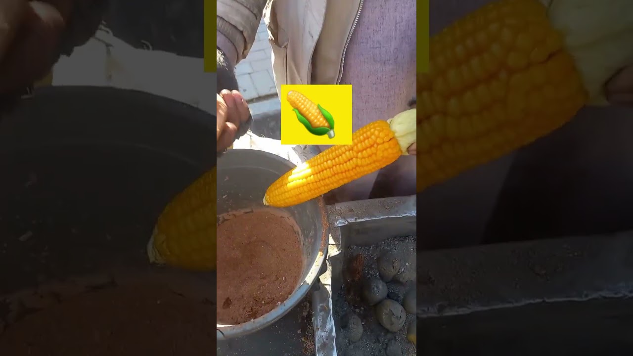 cooking corn cob in coal Ash | Pakistan Street Food| steamed corn  