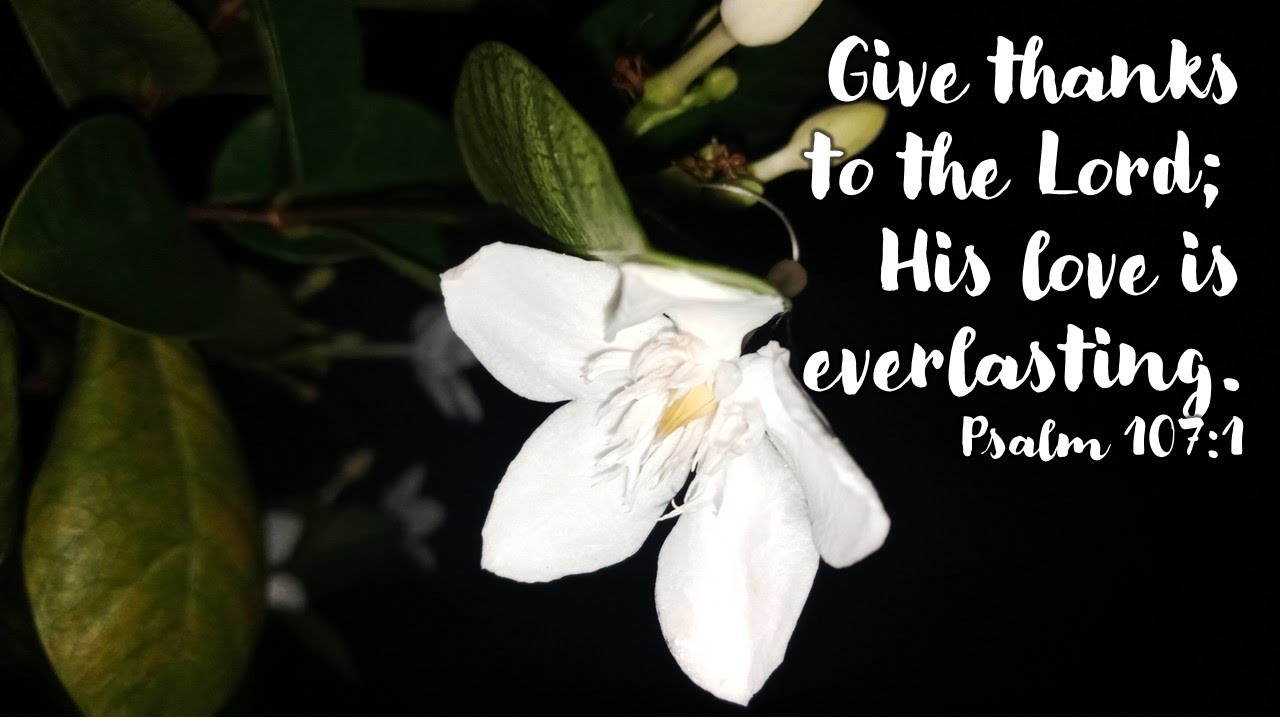 PSALMS 107 1 9 GIVE THANKS TO THE LORD HIS LOVE IS EVERLASTING PSALMS 107 1 9 GIVE THANKS TO THE LORD HIS LOVE IS EVERLASTING