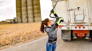 Teen Truck Driver!!!  Montana Farming 2022