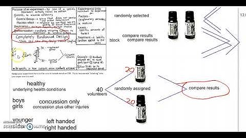 02 Experiment Design   Completely Randomized