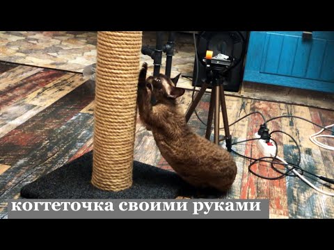 Столбик для кошки своими руками