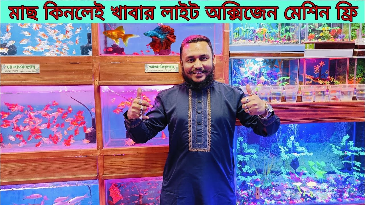 Aquarium Fish Price In katabon 2026|🐠🐠 Aquarium Fish Price | Aquarium | AR Rahman aquarium🐠🐠