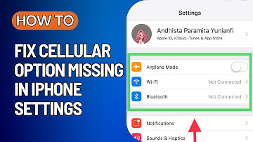 How To Fix Cellular Option Missing In iPhone Settings (2024)