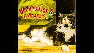 Undercover Mouse Toy Apollo Kitty Kat Floor Spinner Like Tomball from Tiny Kittens HQ