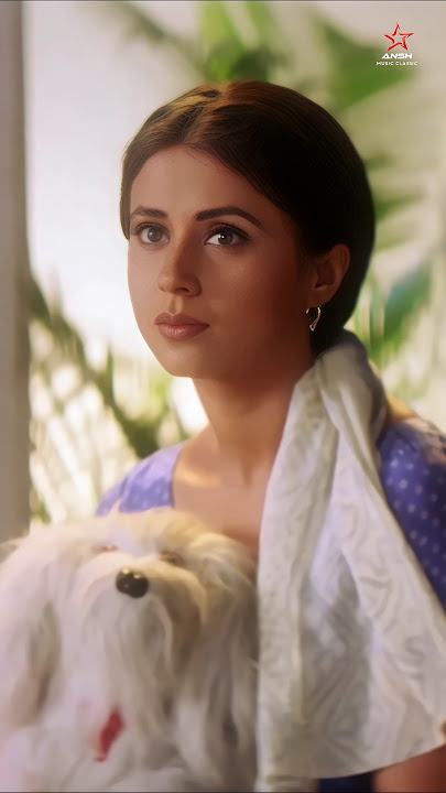 Bahut Khubsurat Ho • Abhijeet Bhattacharya • Sanjay Dutt • Urmila Matondkar • Ansh Music Classic