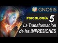 LOS TRES TIPOS DE ALIMENTOS / AUTO CONOCIMIENTO CURSO - GNOSIS VIDEOS CANAL