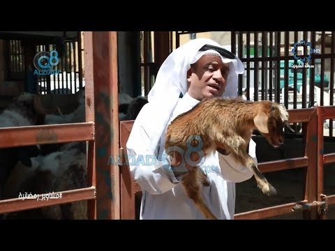 الحلقة 25 من برنامج مشاوير مع منى شداد و أحمد العونان عبر تلفزيون الكويت