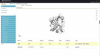Video 5 – UniProt and Protparam
