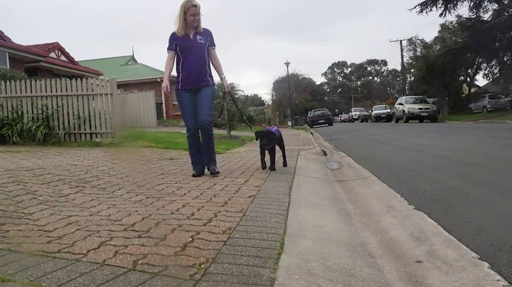 RSB PupStars - Meet  Kathryn & Tully
