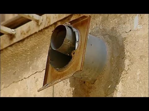 გაზის ნამწვით დაღუპულთა სტატისტიკა