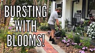 BURSTING with BLOOMS: Seasonal Spring Flowerbed Makeover // The Gardener's Garden