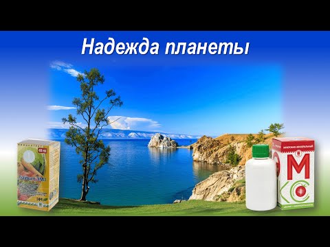 Органическое земледелие: причины возникновения, основы, ЭМ-технологии.